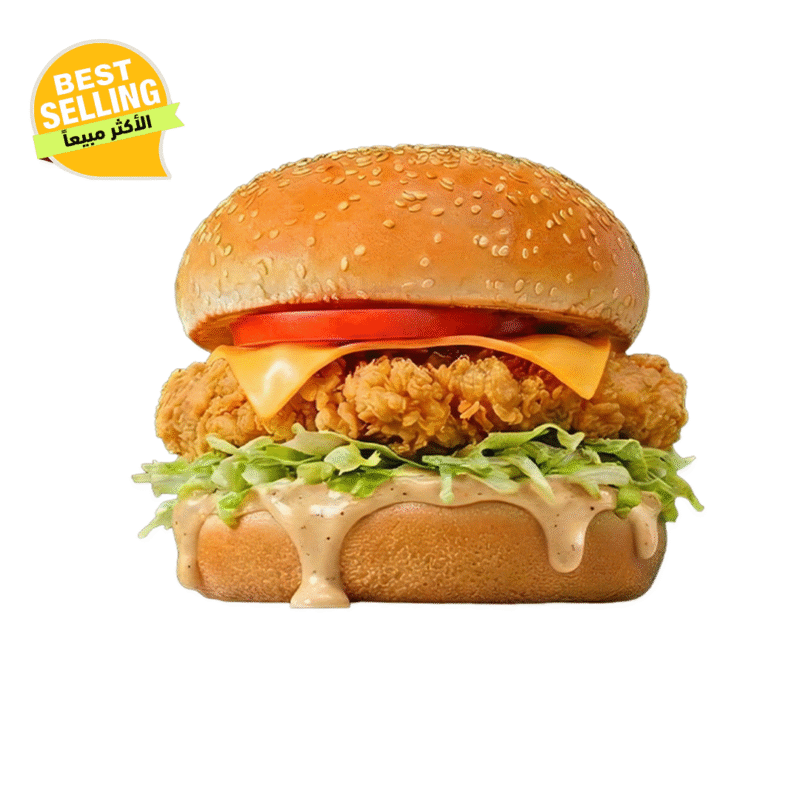 Falafina Product Edit 15